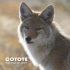 Coyote Calendar 2019: 16 Month Calendar By Mason Landon Cover Image