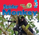 Animals of the Amazon Rainforest: Spider Monkey (Eyediscover) By Katie Gillespie Cover Image