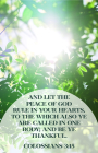 Let the Peace Bulletin (Pkg 100) General Worship By Broadman Church Supplies Staff (Contribution by) Cover Image