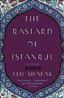 The Bastard of Istanbul Cover Image