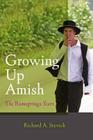 Growing Up Amish: The Rumspringa Years (Young Center Books in Anabaptist and Pietist Studies) By Richard A. Stevick Cover Image