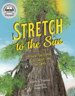 Stretch to the Sun: From a Tiny Sprout to the Tallest Tree on Earth By Carrie A. Pearson, Susan Swan (Illustrator) Cover Image