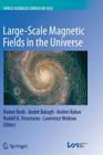 Large-Scale Magnetic Fields in the Universe Cover Image
