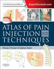 Atlas of Pain Injection Techniques By Therese C. O'Connor, Stephen E. Abram Cover Image