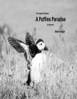 A Puffins Paradise: In Infra-red Cover Image