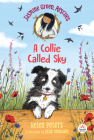 Jasmine Green Rescues: A Collie Called Sky Cover Image