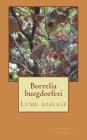 Borrelia burgdorferi: Lyme disease By Constantin Panow Cover Image