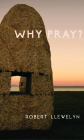 Why Pray?: Unpublished writings by the former chaplain to the shrine of Julian of Norwich By Robert Llewelyn, Denise Treissman (Editor) Cover Image