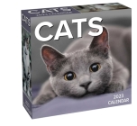 Cats 2023 Day-to-Day Calendar Cover Image