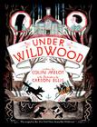 Under Wildwood (Wildwood Chronicles #2) By Colin Meloy, Carson Ellis (Illustrator) Cover Image