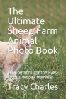 The Ultimate Sheep Farm Animal Photo Book: Looking Through the Eyes of This Woolly Mammal By Tracy Charles Cover Image