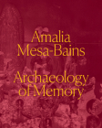 Amalia Mesa-Bains: Archaeology of Memory By Laura E. Pérez, Maria Esther Fernández Cover Image