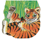 Tiger (Pocket Pals (Safari Ltd)) Cover Image