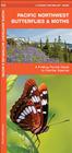 Pacific Northwest Butterflies & Moths: A Folding Pocket Guide to Familiar Species (Pocket Naturalist Guide) Cover Image