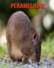 Peramelidae: Fantastici fatti e immagini Cover Image