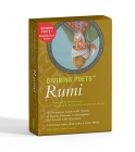 Divining Poets: Rumi By Jalal Al-Din Rumi, Brad Gooch (Editor), Brad Gooch (Translator) Cover Image