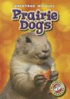 Prairie Dogs (Backyard Wildlife) Cover Image