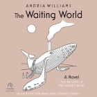 The Waiting World Cover Image
