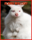 Albino Wallaby: Fascinating Albino Wallaby Facts for Kids with Stunning Pictures! By Elizabeth Palumbo Cover Image
