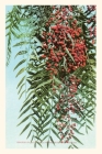 The Vintage Journal California Pepper Berries Cover Image