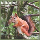 Squirrels 2021 Calendar: Official Squirrel Wall Calendar 2021 By New Year 2021 Calendars Cover Image