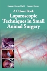 A Colour Book Laparoscopic Techniques in Small Animal Surgery By S. K. Maiti, Naveen Kumar Cover Image