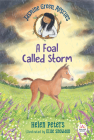 Jasmine Green Rescues: A Foal Called Storm By Helen Peters, Ellie Snowdon (Illustrator) Cover Image