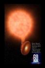 60 Nasa Kepler Beyond Planets Finding Exploding Stars (Type Ia Supernova from a White Dwarf Stealing Matter): 119 Seiten Schreibheft, Notizbuch, Skizz By Guido Gottwald Cover Image