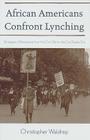 African Americans Confront Lynching: Strategies of Resistance from the Civil War to the Civil Rights Era Cover Image