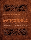 Sengoidelc: Old Irish for Beginners (Irish Studies) By David Stifter Cover Image