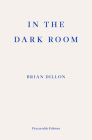 In the Dark Room By Brian Dillon, Frances Wilson (Foreword by) Cover Image