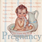 The Little Big Book of Pregnancy By Katrina Fried (Editor), Lena Tabori (Editor) Cover Image