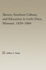 Slavery, Southern Culture, and Education in Little Dixie, Missouri, 1820-1860 (Studies in African American History and Culture) By Jeffrey C. Stone Cover Image