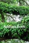 Address Book: Resurrection Fern By T. P Cover Image