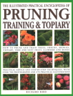 Illustrated Practical Encyclopedia of Pruning, Training and Topiary: How to Prune and Train Trees, Shrubs, Hedges, Topiary, Tree and Soft Fruit, Climb By Richard Bird Cover Image