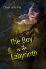 The Boy in the Labyrinth: Poems By Oliver de la Paz Cover Image
