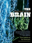 The Brain: Big Bangs, Behaviors, and Beliefs By Rob DeSalle, Ian Tattersall, Patricia J. Wynne (Illustrator) Cover Image