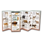 Land Mammals of the Rocky Mountain Region Cover Image