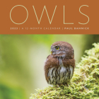 Owls 2023: A 12-Month Wall Calendar By Paul Bannick Cover Image
