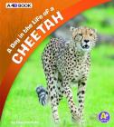 A Day in the Life of a Cheetah: A 4D Book By Lisa J. Amstutz Cover Image
