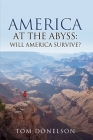 America At The Abyss: Will America Survive? Cover Image