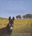What the Animals Taught Me: Stories of Love and Healing from a Farm Animal Sanctuary Cover Image