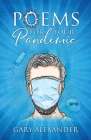 Poems for Your Pandemic By Gary Alexander Cover Image