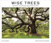 Wise Trees 2019 Wall Calendar: Remarkable Living Monuments from Around the World By Diane Cook, Len Jenshel Cover Image