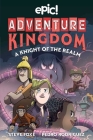 Adventure Kingdom: A Knight of the Realm By Steve Foxe, Pedro RodrÃ­guez (Illustrator), Shadia Amin (Illustrator) Cover Image