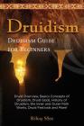 Druidism: Druid Overview, Basics Concepts of Druidism, Druid Gods, History of Druidism, the Inner and Outer Path Works, Druid Fe By Riley Star Cover Image