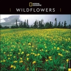National Geographic: Wildflowers 2024 Wall Calendar By National Geographic, Disney Cover Image