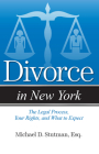 Divorce in New York: The Legal Process, Your Rights, and What to Expect Cover Image