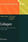 Collagen: Primer in Structure, Processing and Assembly (Topics in Current Chemistry #247) By Jürgen Brinckmann (Editor), Holger Notbohm (Editor), P. K. Müller (Editor) Cover Image