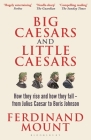 Big Caesars and Little Caesars: How They Rise and How They Fall - From Julius Caesar to Boris Johnson Cover Image